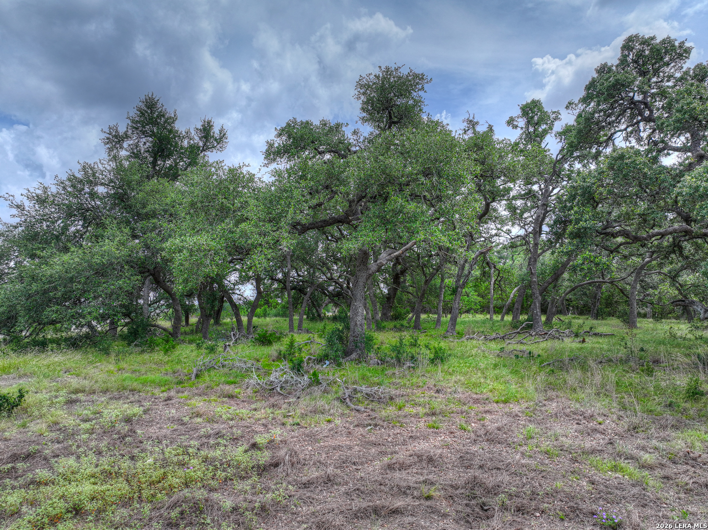 1209 Fume Blanc New Braunfels TX 78132