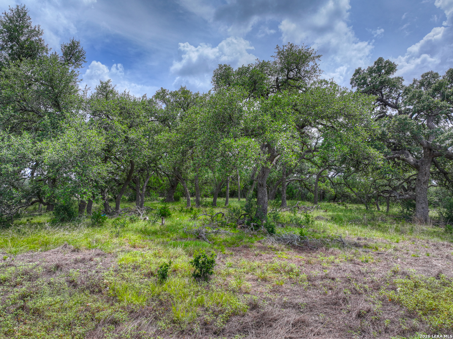 1209 Fume Blanc New Braunfels TX 78132