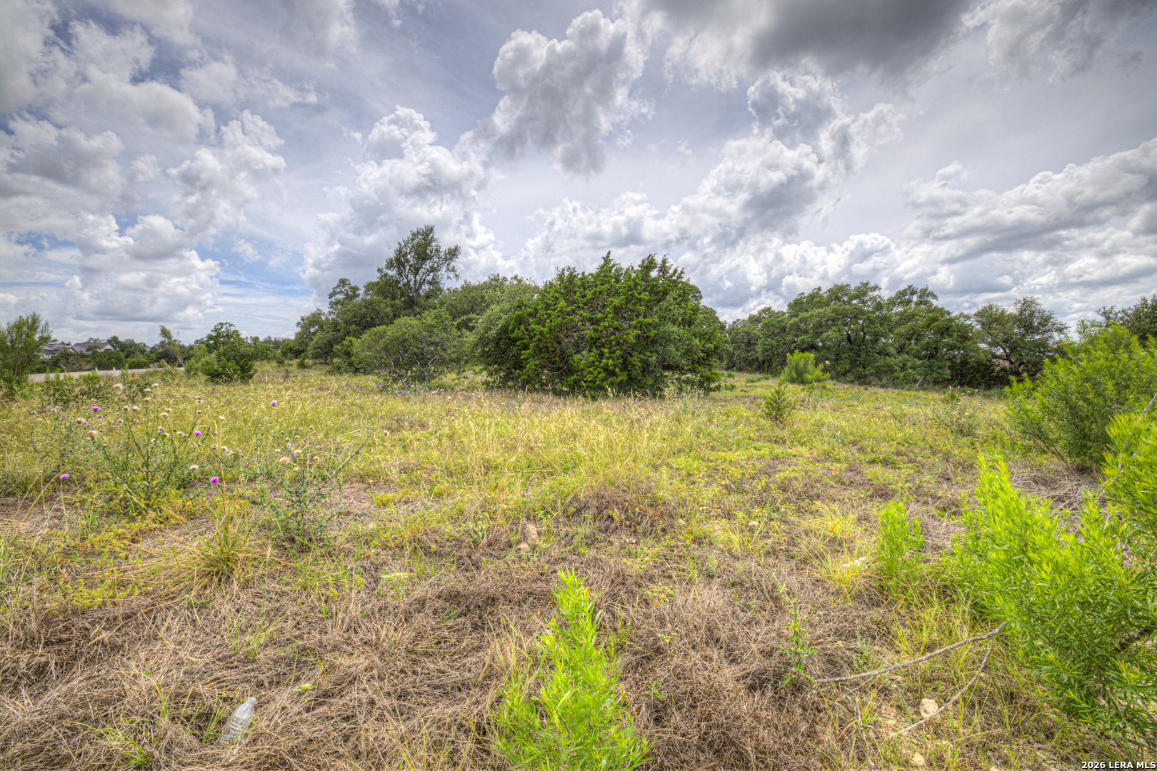 1209 Fume Blanc New Braunfels TX 78132