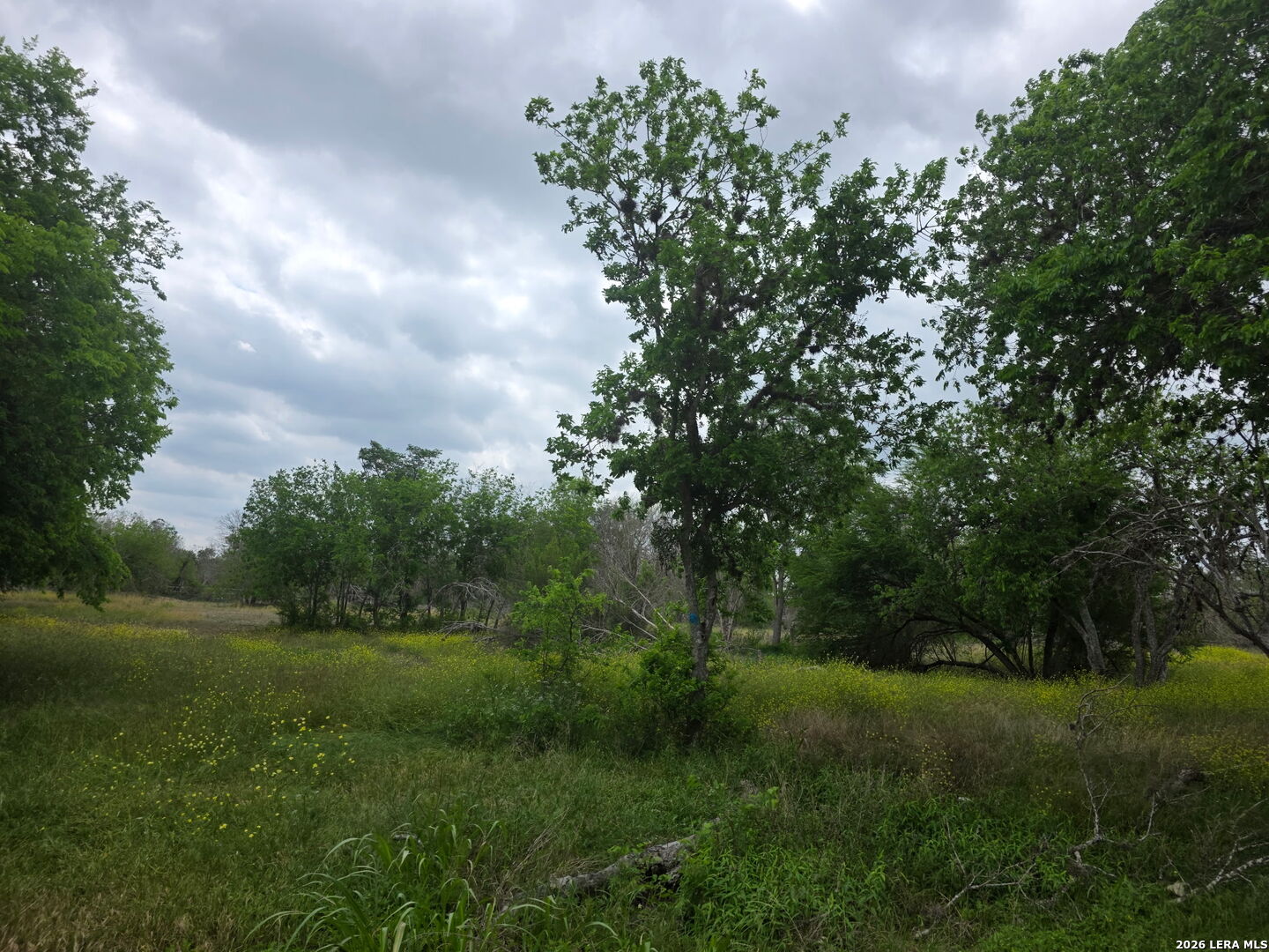 2332 E Chavaneaux San Antonio TX 78214