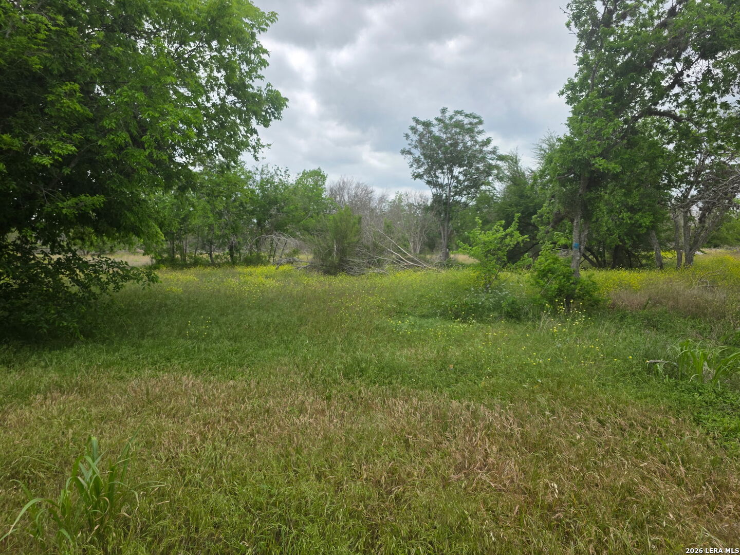 2332 E Chavaneaux San Antonio TX 78214