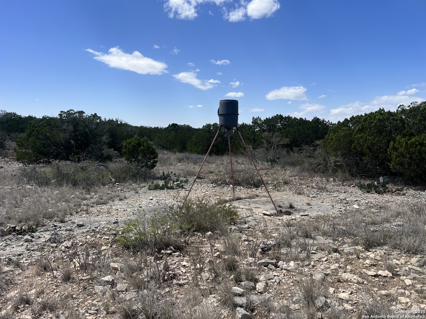 Lot 41-l & 42-l New Leona Ranch Brackettville TX 78832