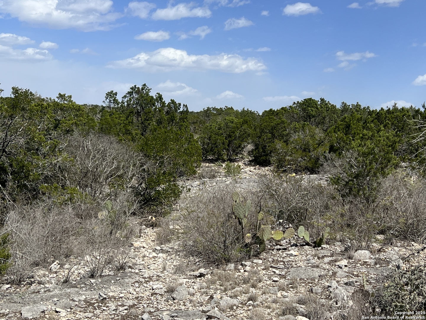 Lot 41-l & 42-l New Leona Ranch Brackettville TX 78832