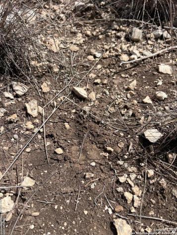Lot 41-l & 42-l New Leona Ranch Brackettville TX 78832
