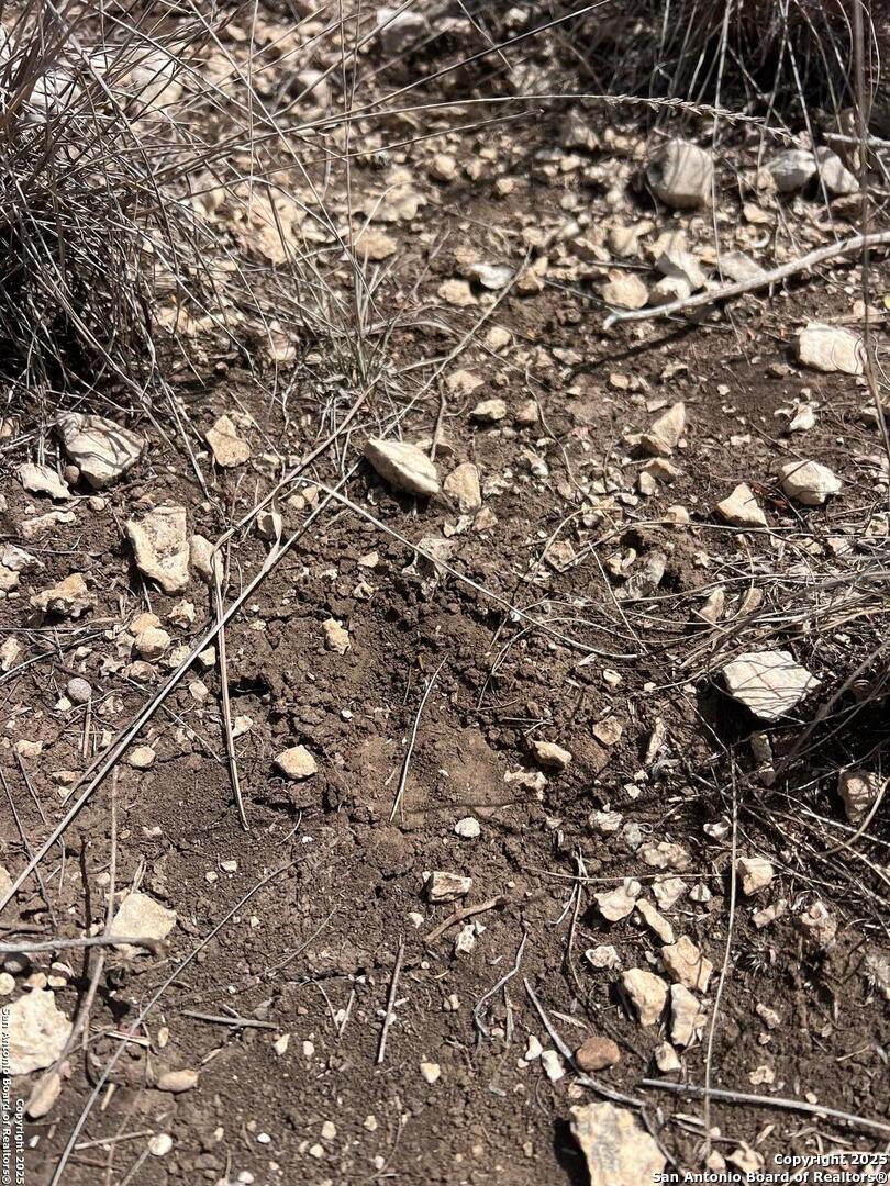 Lot 41-l & 42-l New Leona Ranch Brackettville TX 78832