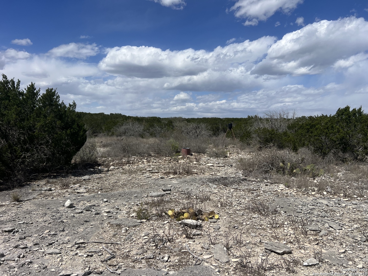 Lot 41-l & 42-l New Leona Ranch Brackettville TX 78832