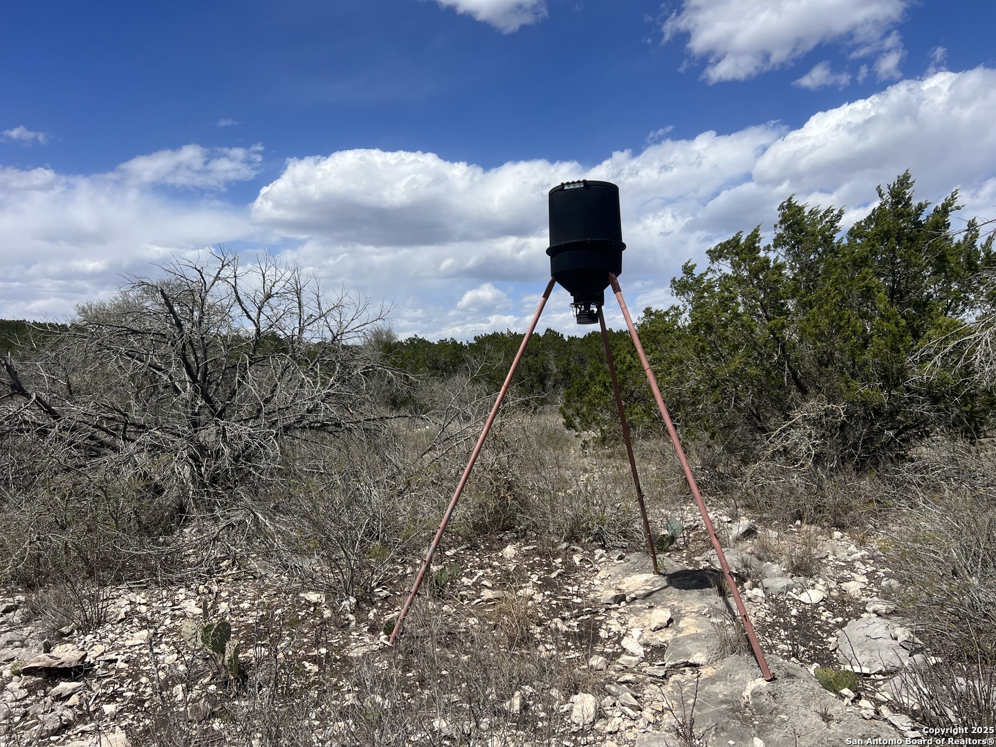 Lot 41-l & 42-l New Leona Ranch Brackettville TX 78832