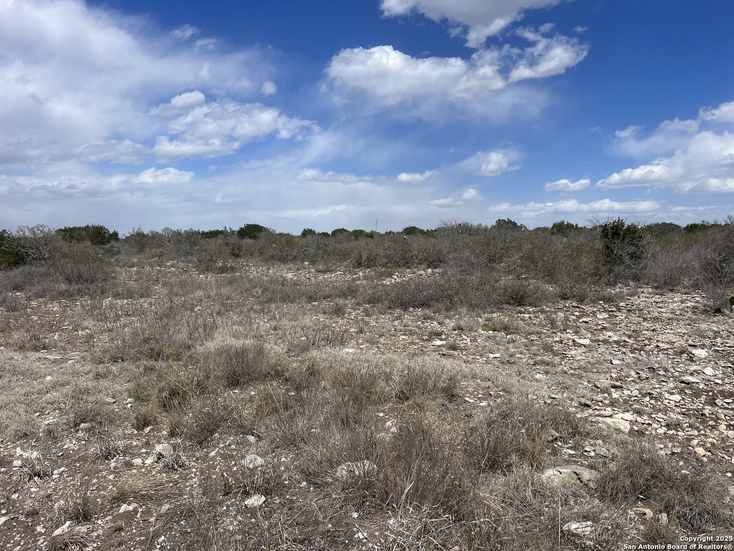 Lot 41-l & 42-l New Leona Ranch Brackettville TX 78832