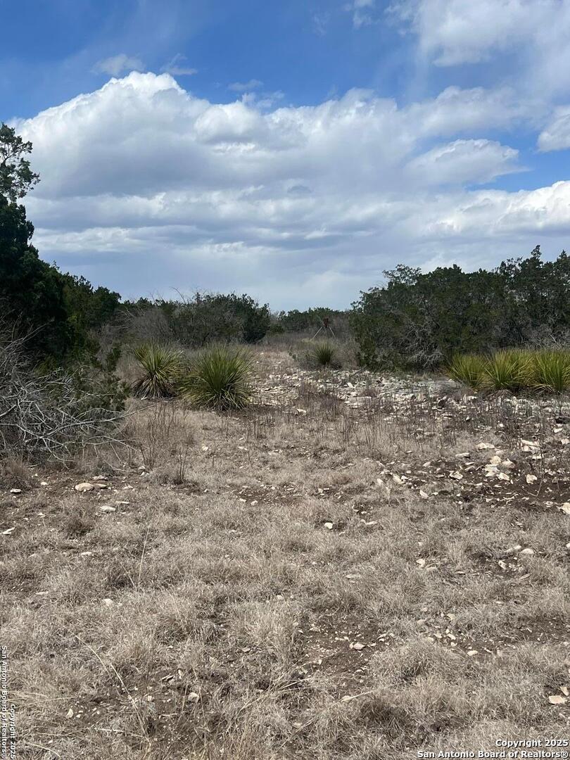Lot 41-l & 42-l New Leona Ranch Brackettville TX 78832