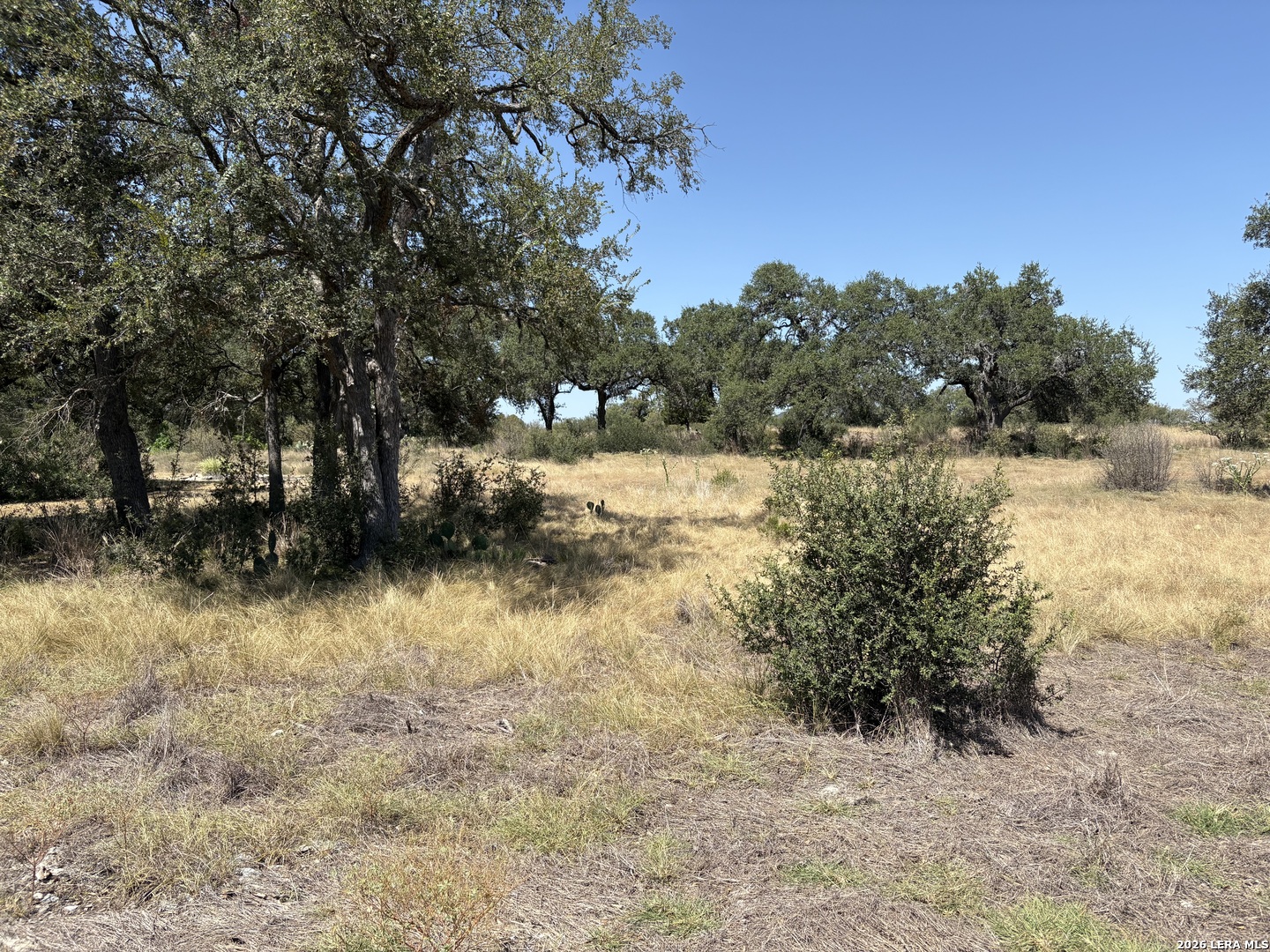531 (LOT 1737) Arthur Court Spring Branch TX 78070