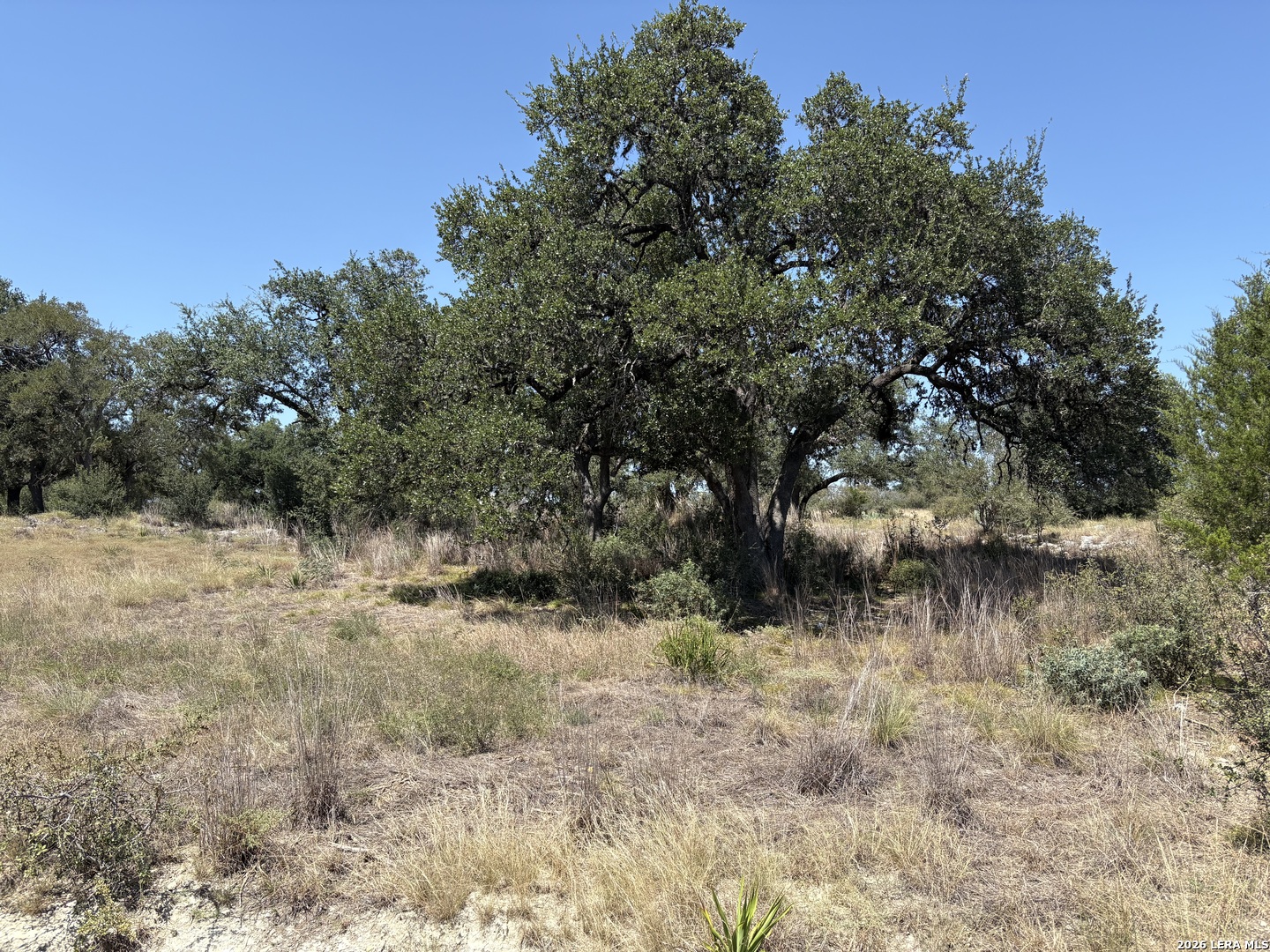 531 (LOT 1737) Arthur Court Spring Branch TX 78070