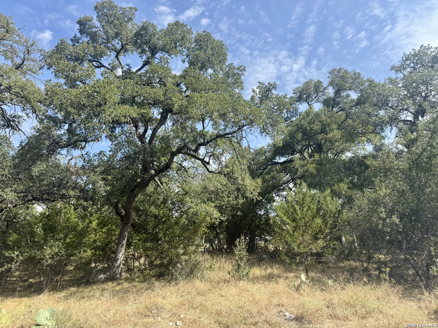 102 Denson Belk Blanco TX 78606