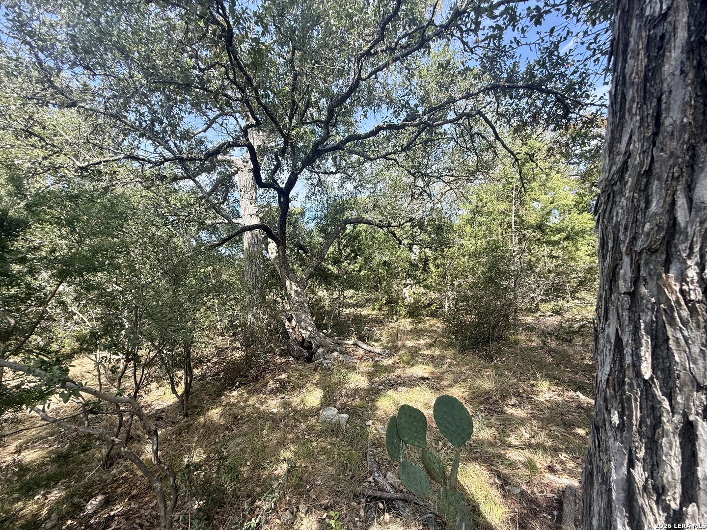 102 Denson Belk Blanco TX 78606