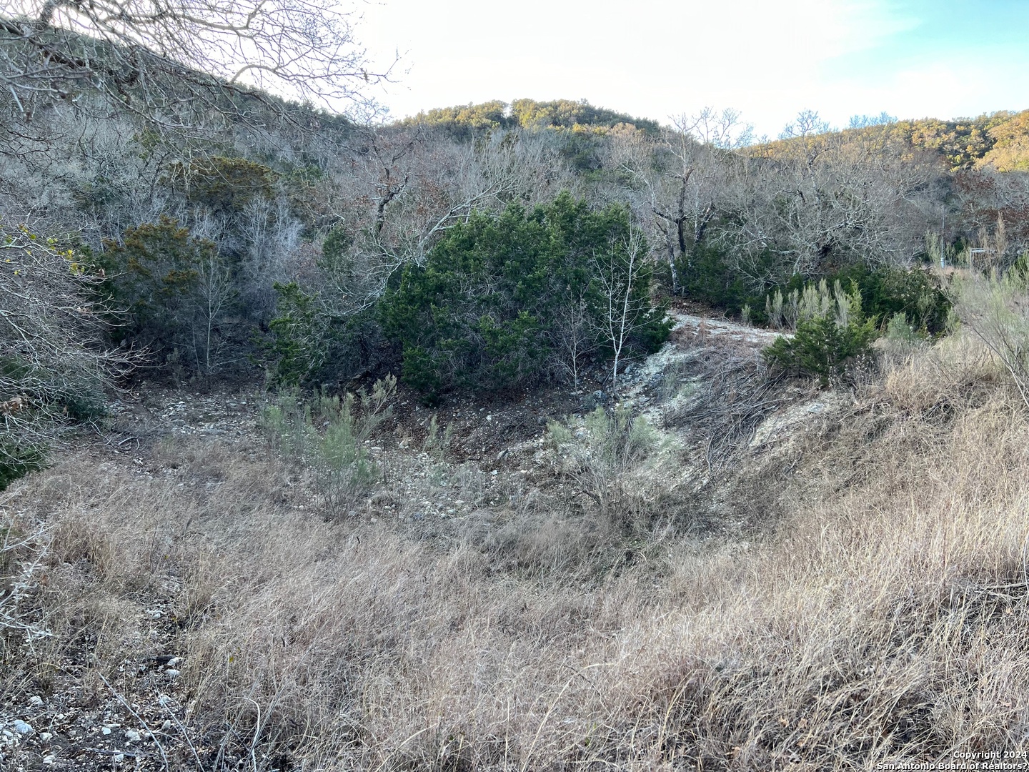 696 Chili Canyon Road Tarpley TX 78003