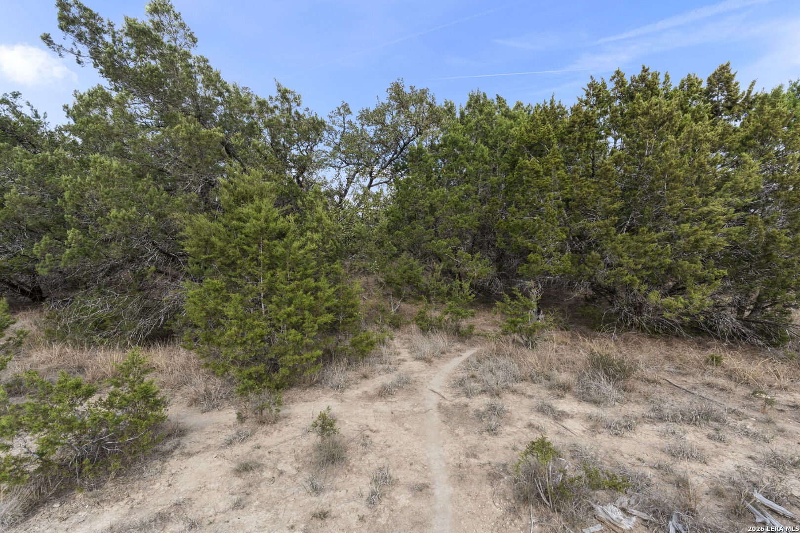 9020 Gainsborough Drive Spring Branch TX 78070