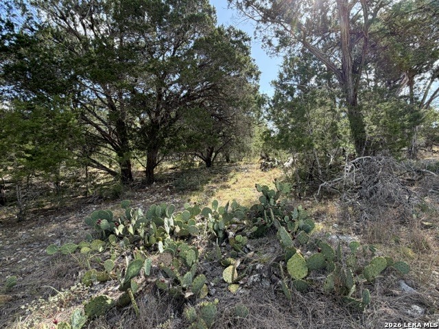 Lot 59 Mustang Crossing Drive Pipe Creek TX 78063