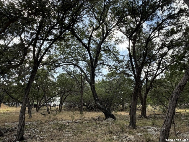 Lot 59 Mustang Crossing Drive Pipe Creek TX 78063