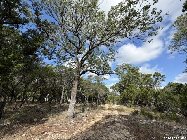 Lot 59 Mustang Crossing Drive Pipe Creek TX 78063