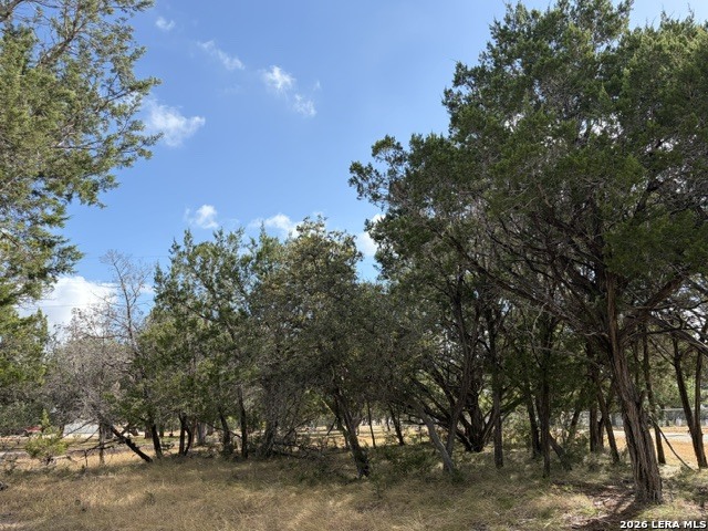 Lot 59 Mustang Crossing Drive Pipe Creek TX 78063