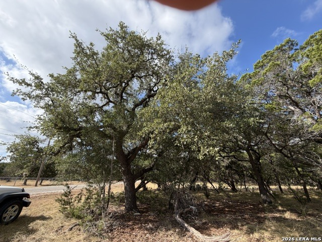 Lot 59 Mustang Crossing Drive Pipe Creek TX 78063