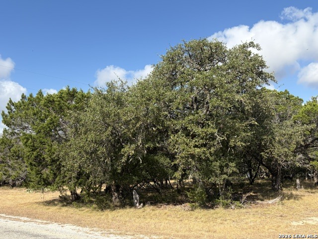 Lot 59 Mustang Crossing Drive Pipe Creek TX 78063