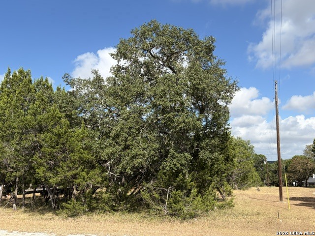 Lot 59 Mustang Crossing Drive Pipe Creek TX 78063