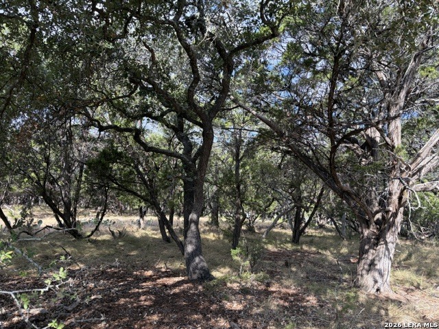 Lot 59 Mustang Crossing Drive Pipe Creek TX 78063