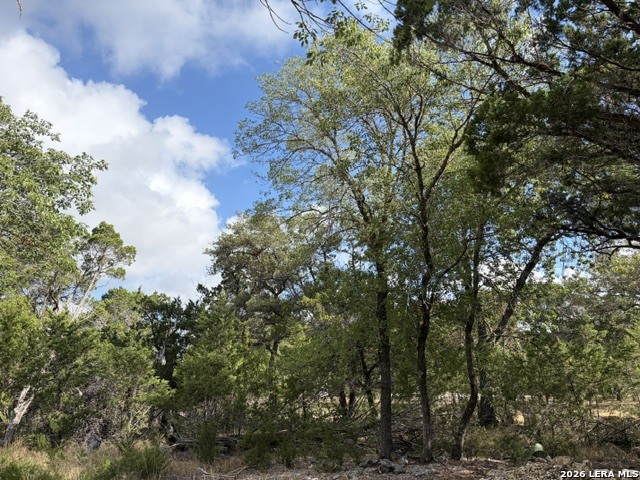 Lot 59 Mustang Crossing Drive Pipe Creek TX 78063