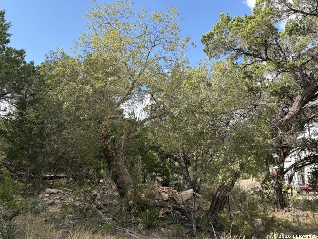 Lot 59 Mustang Crossing Drive Pipe Creek TX 78063