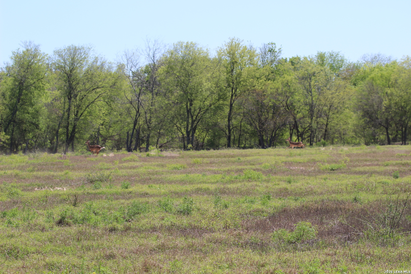 287 N 22nd Hondo TX 78861