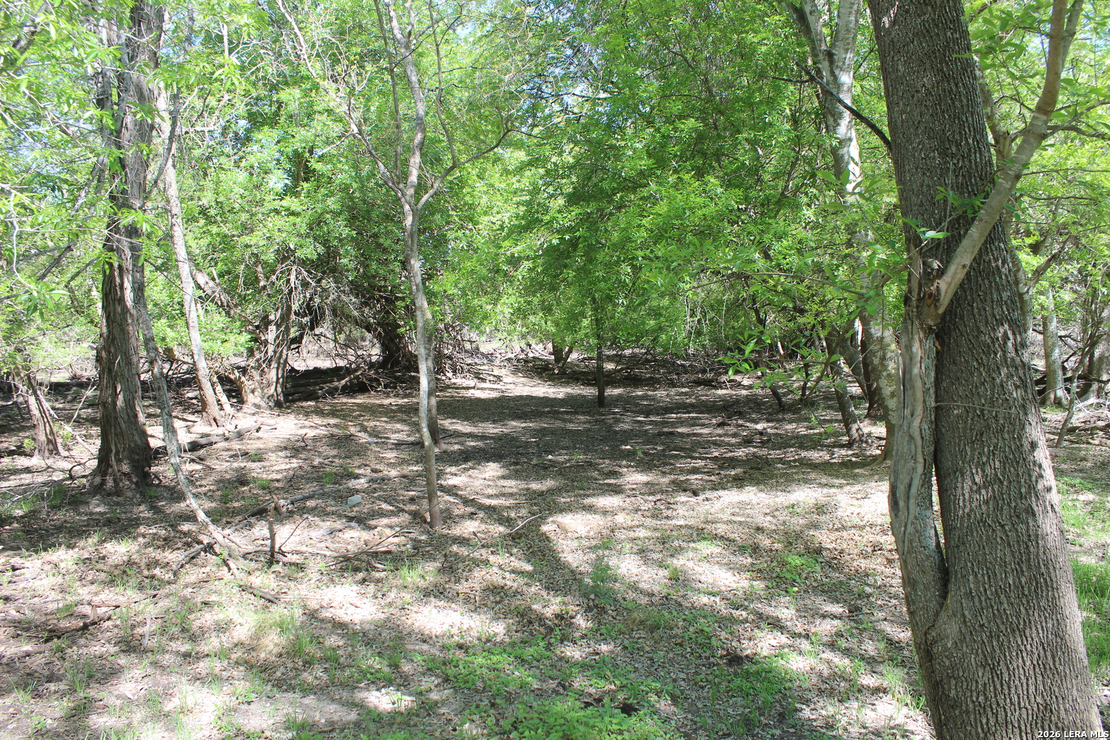 287 N 22nd Hondo TX 78861