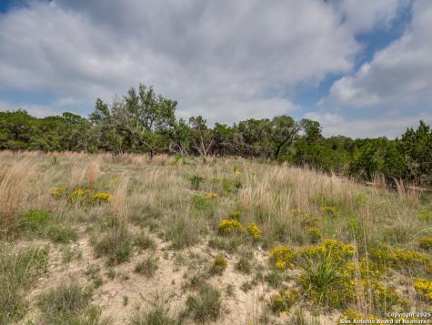 Lot 20 Canyon Forest Helotes TX 78023