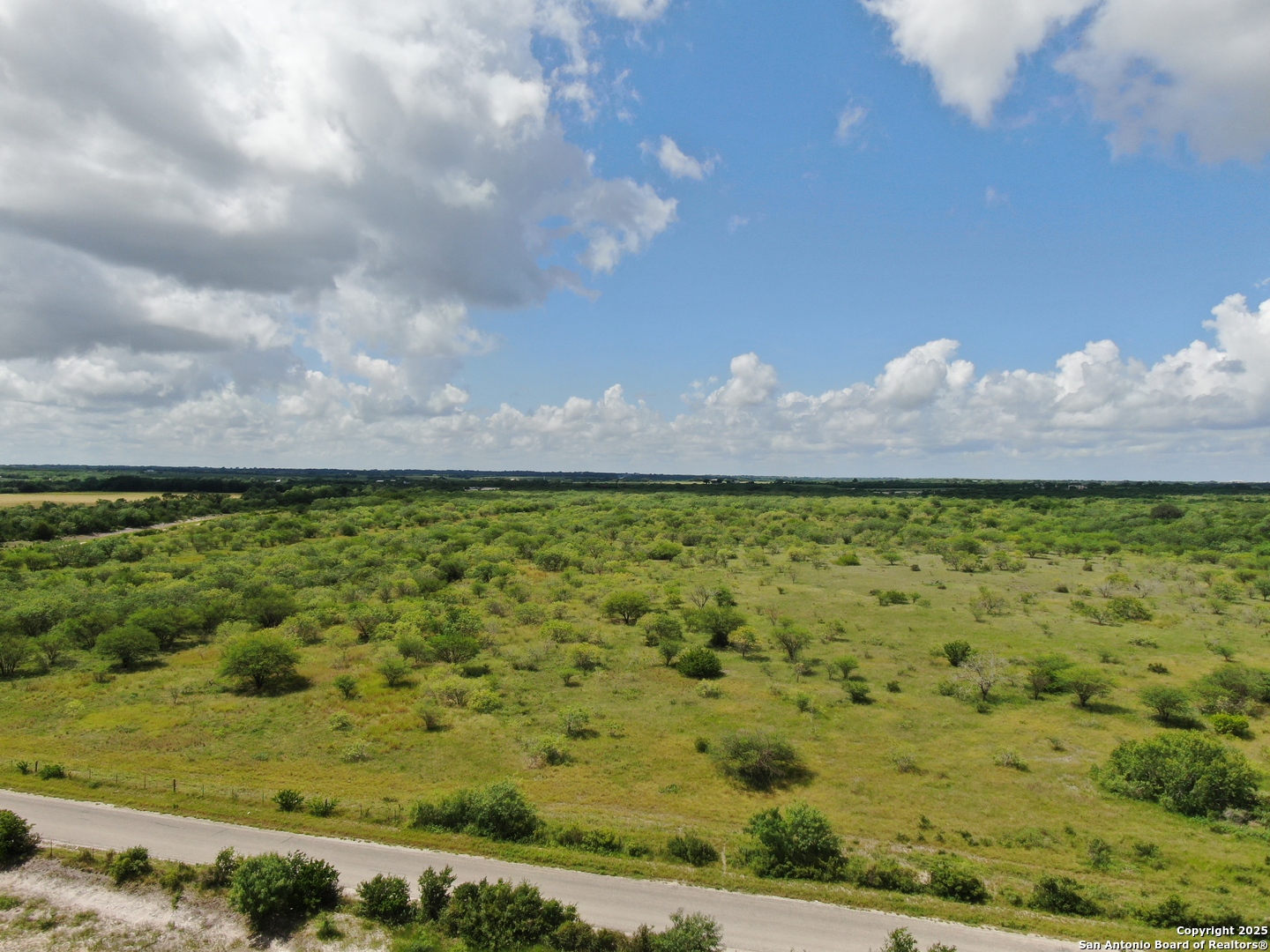 Tract 3 County Road 207 Hobson TX 78117