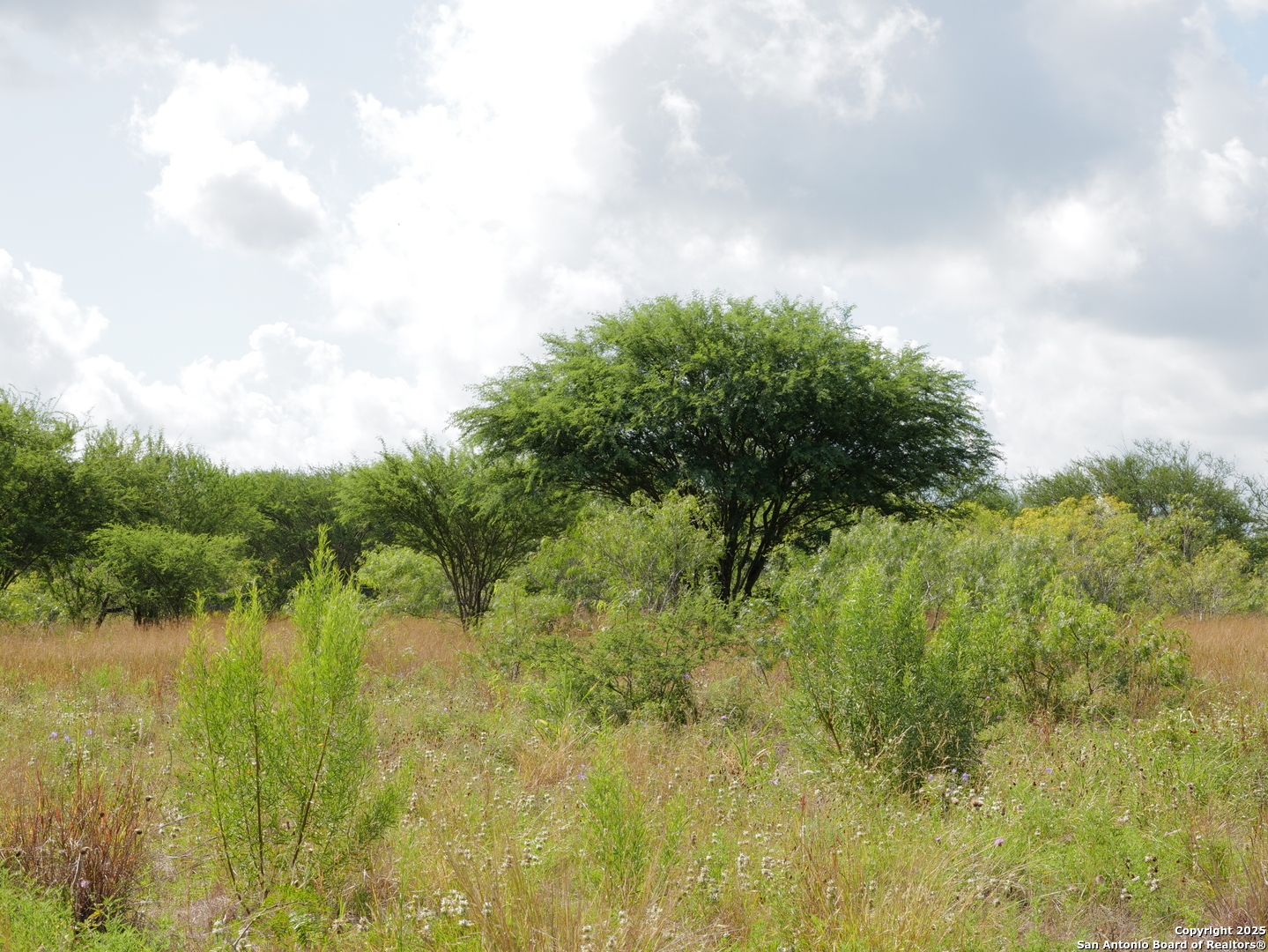 Tract 3 County Road 207 Hobson TX 78117