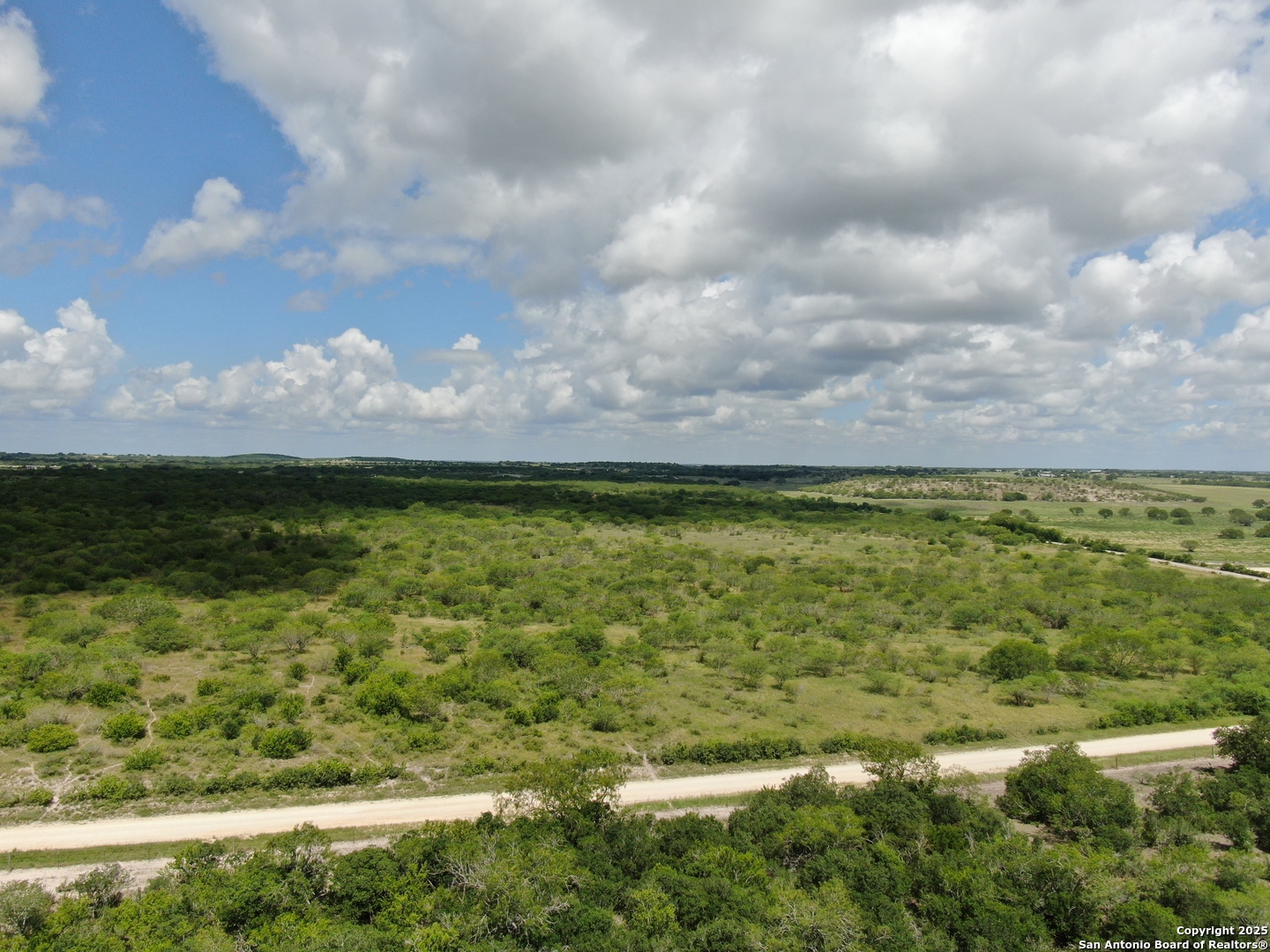 Tract 3 County Road 207 Hobson TX 78117