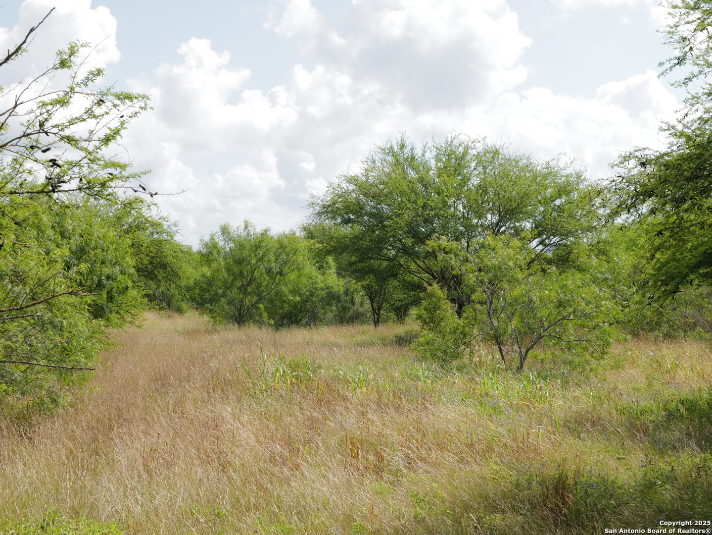 Tract 3 County Road 207 Hobson TX 78117