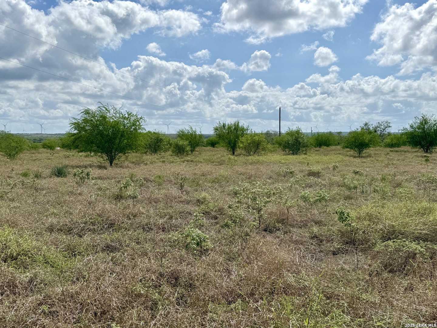 15.96 Acres Sh-72 Kenedy TX 78119