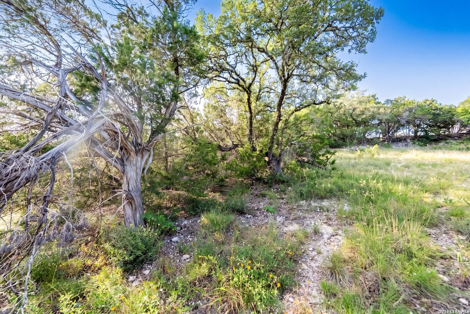 0 Contour Spring Branch TX 78070