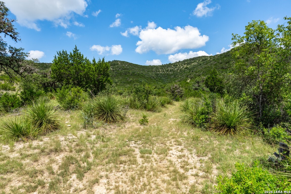 5013 N Little Creek Road Utopia TX 78884