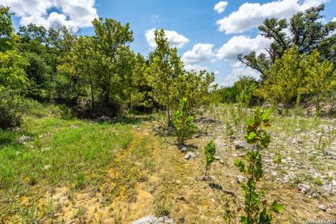 5013 N Little Creek Road Utopia TX 78884