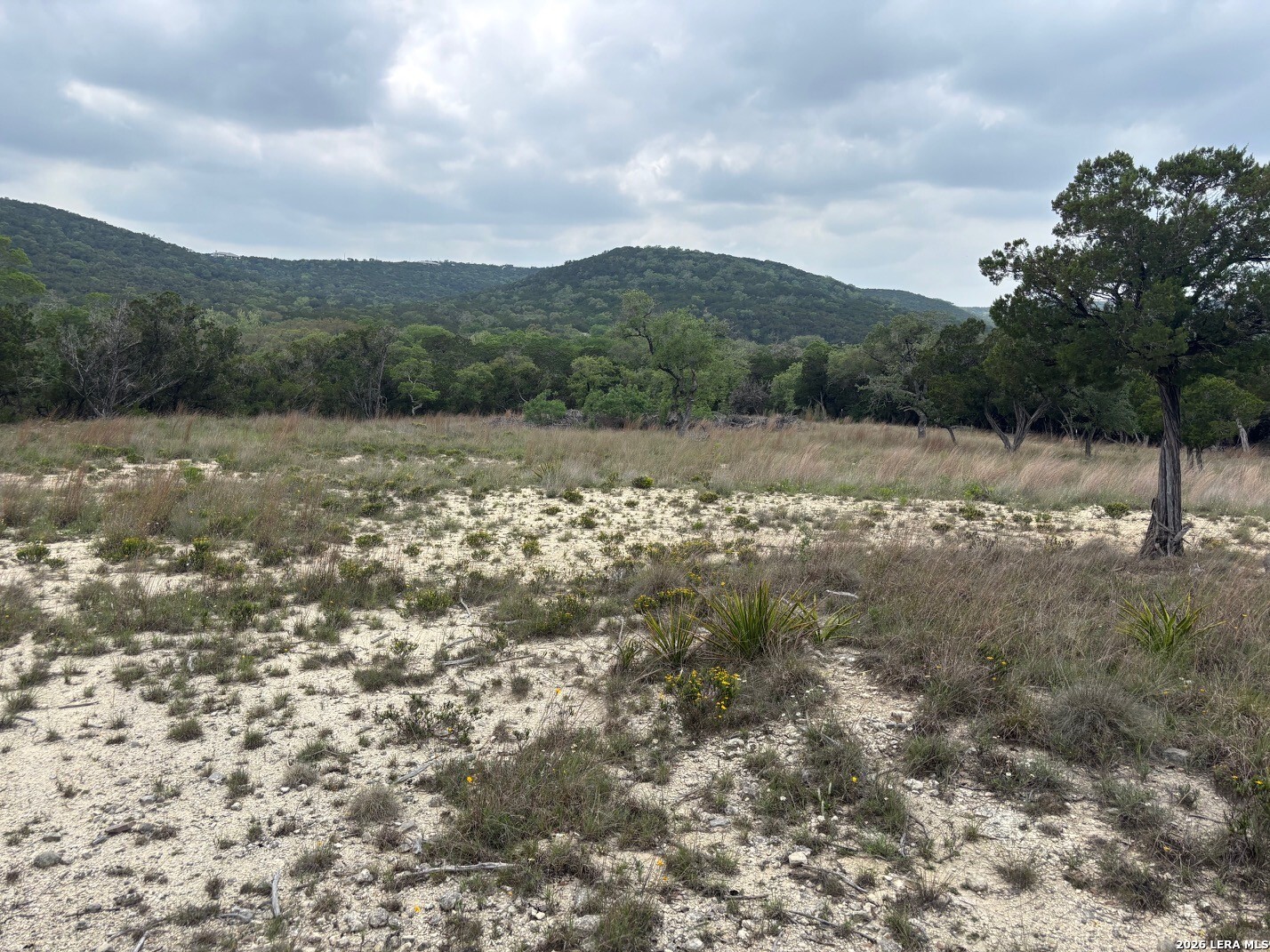 595 Canyon Forest Helotes TX 78023