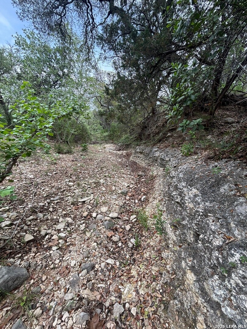 595 Canyon Forest Helotes TX 78023