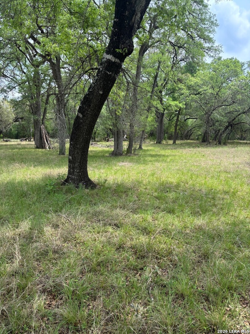595 Canyon Forest Helotes TX 78023
