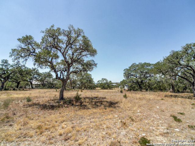 34745 Casita Creek Lane Bulverde TX 78163