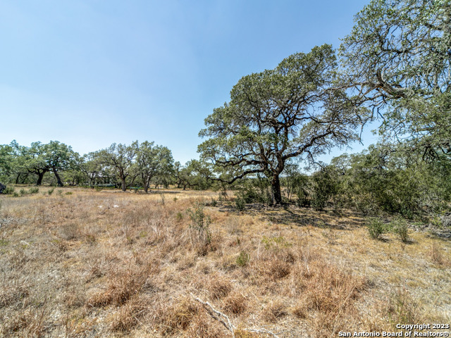34745 Casita Creek Lane Bulverde TX 78163