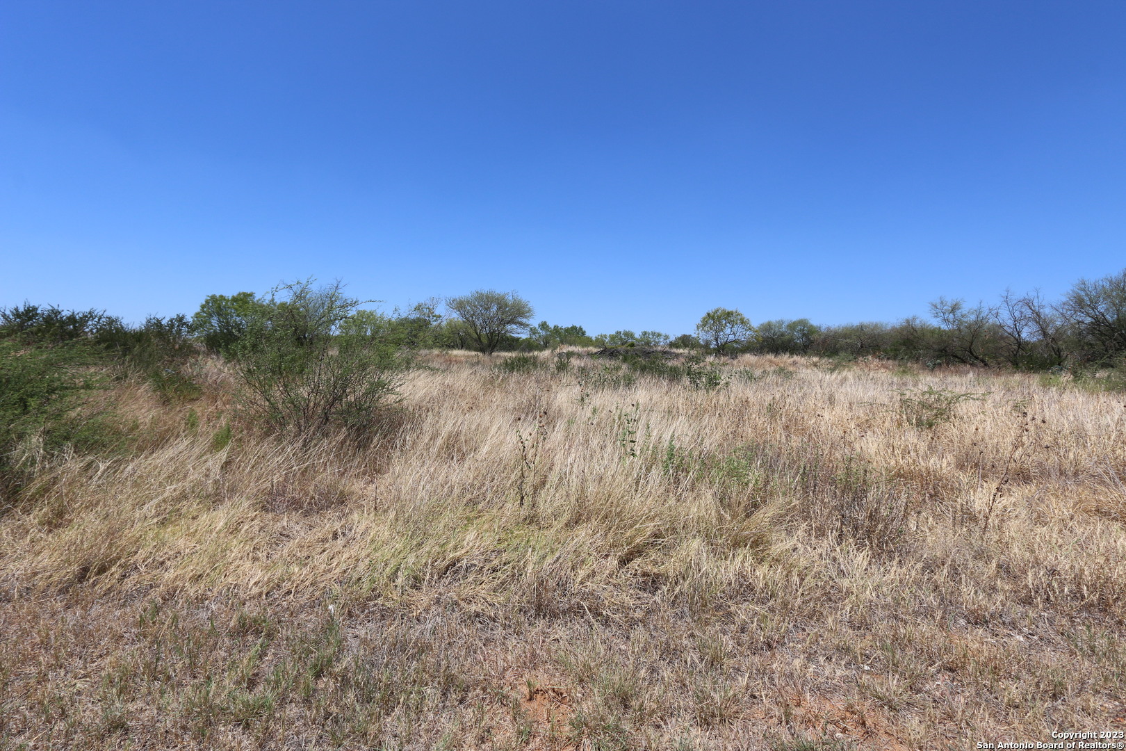 109 County Road 2638 Devine TX 78016