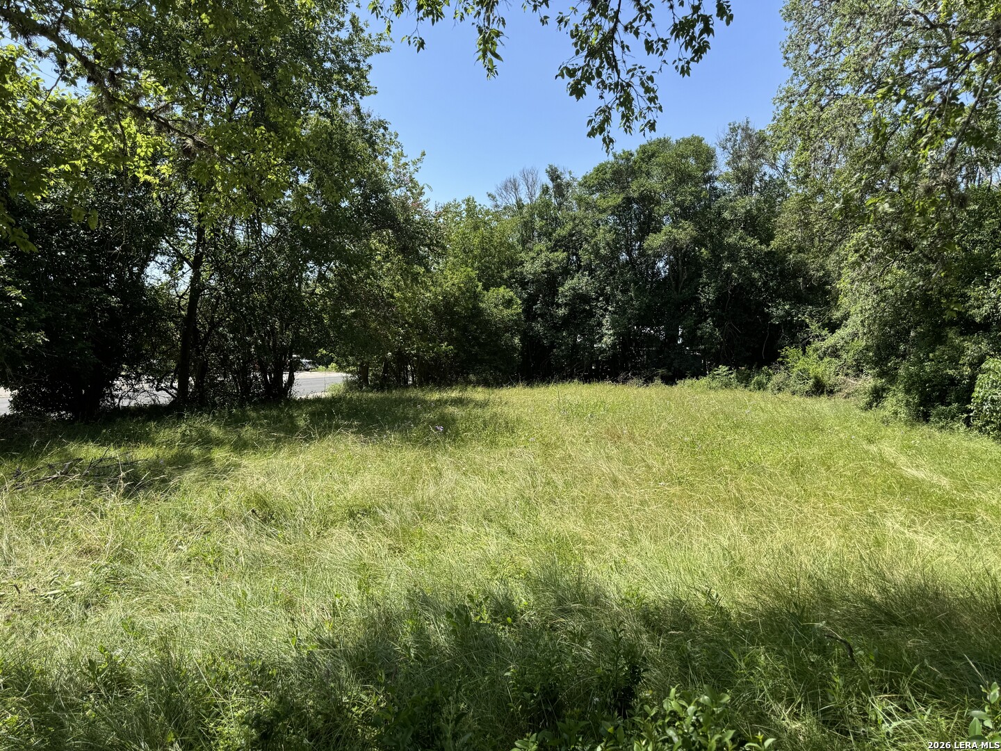 310 S Plant Avenue Boerne TX 78006