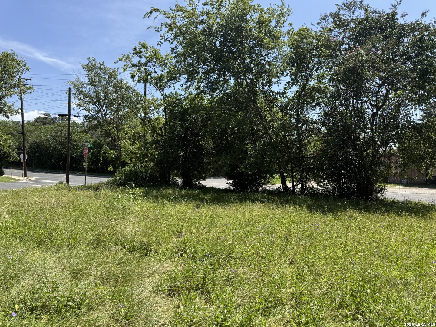 310 S Plant Avenue Boerne TX 78006