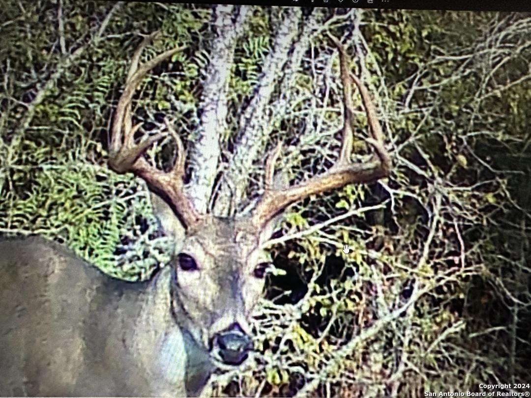 13004 Fm 3353 Kingsbury TX 78638