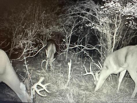 13004 Fm 3353 Kingsbury TX 78638
